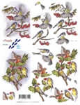 Birds And Holly - 821596