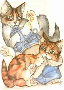 Kittens and Shoe Pack of 7 Prints Size 10 x 8 - 827
