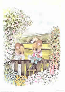 Whiskers and Tails B Pack of 5 prints Size 10 x 8 - 845