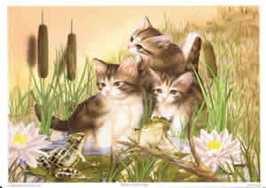 Kittens with frog Pack of 7 prints Size 10 x 8 - 851