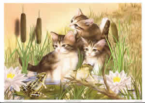 Kittens with frog Pack of 6 prints Size 10 x 8 - 852