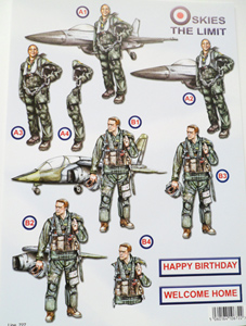 DieCut Fioled Step by Step sheets - 9727