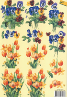 Pansies - Daffoldils - Tulips - 2417AV