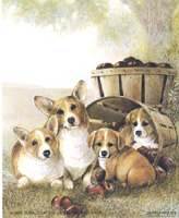 Apple Dumplings Dogs 5 x 4 - C0043