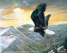 Eagles Lair 4 x 5 - C0153