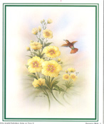 Humming Bird 1 5 x 6 - C0195