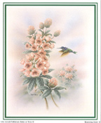 Humming Bird 5 x 6 - C0198