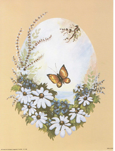 Butterfly with Framed flowers Oval Size 8 x 6 - C0241