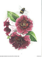 Bee And Flowers Pack of 6 Prints Size 8 x 6 - C0425