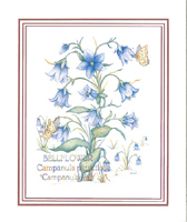 Prints Bell Flower With Butterfly Pack of 6 prints Print Size 4 3/4 x 4 - C0529