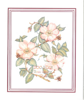 Prints Dog Rose Pack of 6 prints Print Size 4 3/4 x 4 - C0531