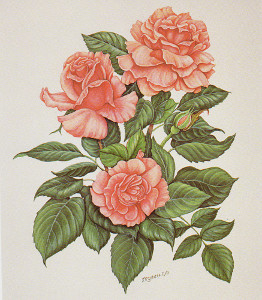 Prints Florals Pack of 6 prints Size 5 x 6 - C0536