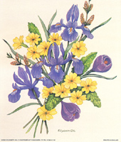 Prints Summer Flowers Pack of 6 Prints Size 5 x 6 - C0544