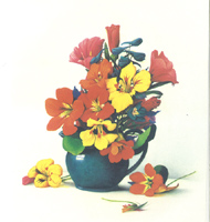 Prints Flower Vase 2 Pack of 6 Prints Size 5 x 6 - C0557