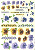 Pansies and borders - E602
