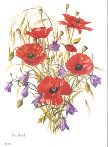 Poppies and Harebells Print Size 5 x 7 - SH208