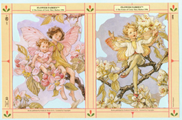 Flower Fairies - S1898