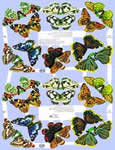 Butterflies - S811