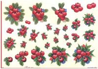Step by Steps 4 designs Christmas Fruits And Berries - X317