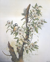 Birds Sping Fragrance 8139 Print Size 10 x 8 - 2074