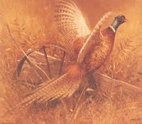 Big Boy 7648 Print Size 10 x 8 - 2087