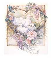 Doves and Flowers 1143 Print Size 10 x 8 - 2804